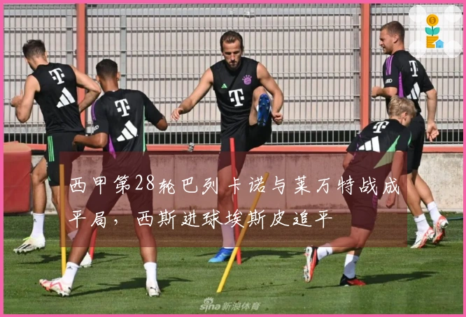 西甲第28轮巴列卡诺与莱万特战成平局，西斯进球埃斯皮追平